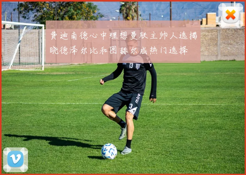 费迪南德心中理想曼联主帅人选揭晓德泽尔比和图赫尔成热门选择