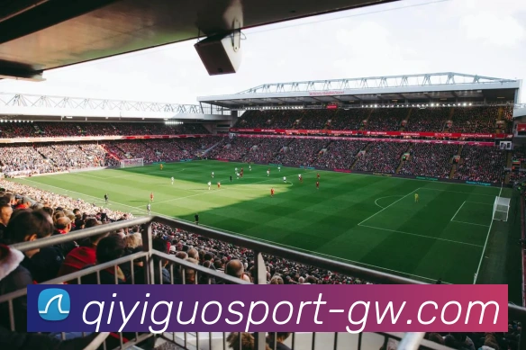 奇异果体育全站App